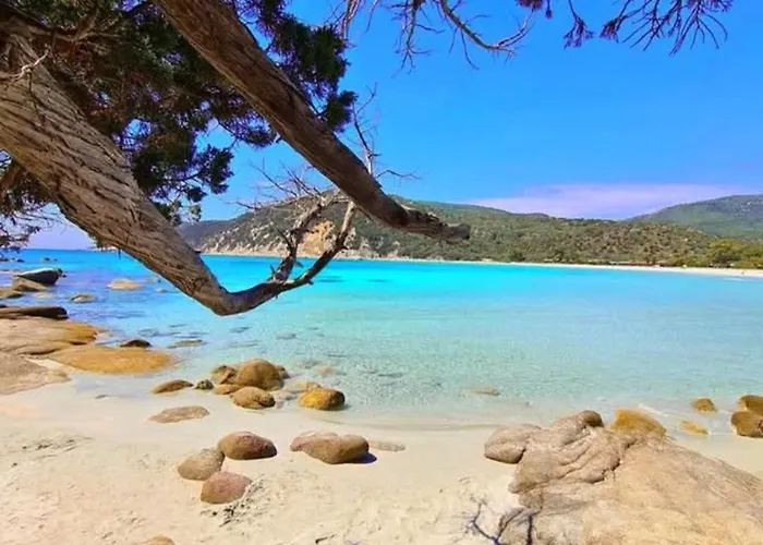 Dom wakacyjny Sun & House *